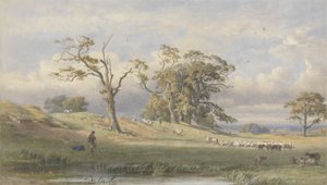 Régi brit tábor a Bulstrode Parkban, 1860 (wc grafit felett, papíron)